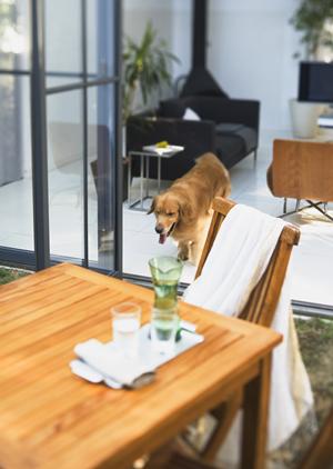 格安のインプラスはこちらの会社でどうぞ