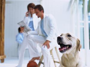 アパートドアを安くリフォームできる会社